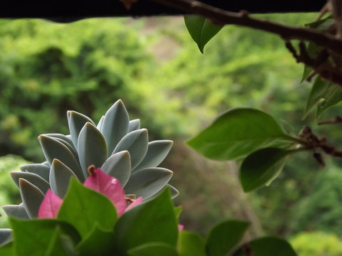 多样彩票玩法
