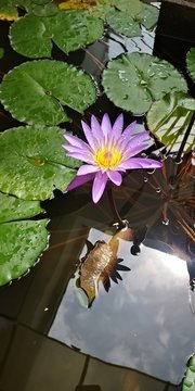 幸运飞艇幸运时刻